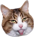 cattongue emote