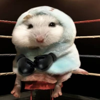 BoxerHamster emote
