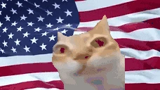 american emote