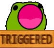 triggered_froggo emote