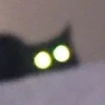 catglowstare emote