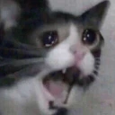 ezgif emote