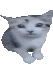 Lalacat emote