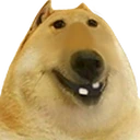 doge3Head emote