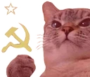 CommieCat emote