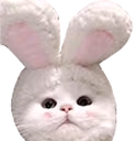 Cunny emote