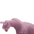 llamaJAM animated emote