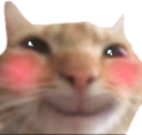 love emote