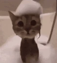 glonker emote