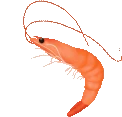 shrimp emoji