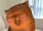 YapapaUmm emote