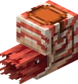 Nautilus emote