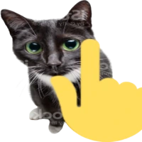 pointingupcat emote