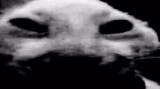 xddDespair emote