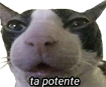 taPotente static emote