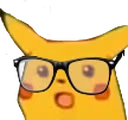 pikaNerdGasp emote