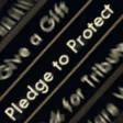 pledge_to_protect emote