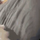 funnywhitecat11 emote