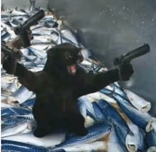 catgun emote
