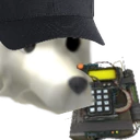 WhiteDogC4 emote