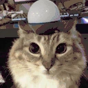 CatAlert emote