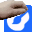 PETTHEARTIST emote