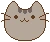 PusheenHead emote