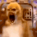 CRASHINGOUT emote