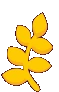 gold_leaf_left emote