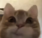 mmmm emote