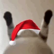 christmas_catshake emoji