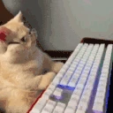 modding emote