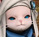 Madgingway emote