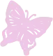 butterfly emote