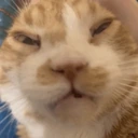 CE_ActualSuffering emote
