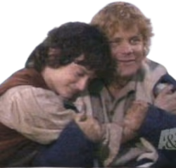 frodosam_hug emote