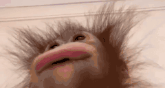 uuwuu animated emote