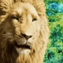 rawr emote