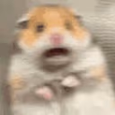 scaredhamster emote