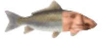 Michael emote