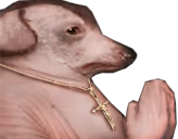 creaturePray emote
