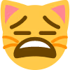 expressionlessbutalsowearycat emote