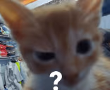 bruh emote