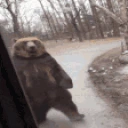 BEARMODE emote