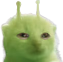 gleepy emote