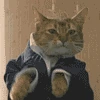 CatSuit emote