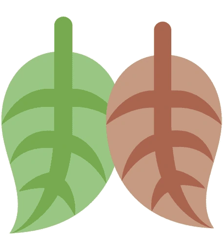 LeafDance emote
