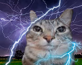 lightning emote