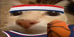 otagBallin emote