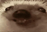 VeryEzh emote